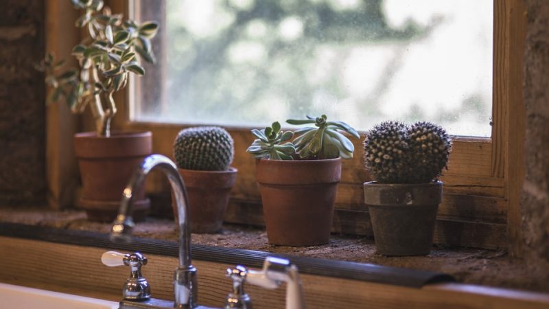 tabela de limpeza semanal